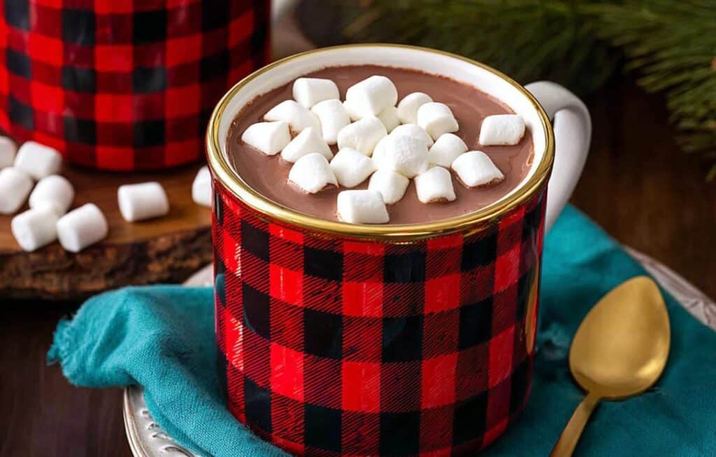hot chocolate in red plaid mug topped with mini marshmallows