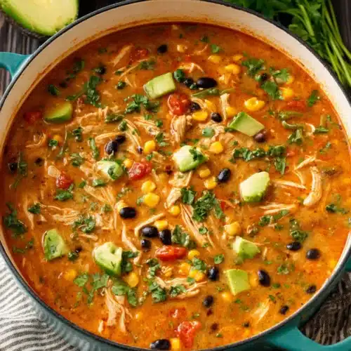 Delicious chicken enchilada soup filled with chicken, corn, and spices.