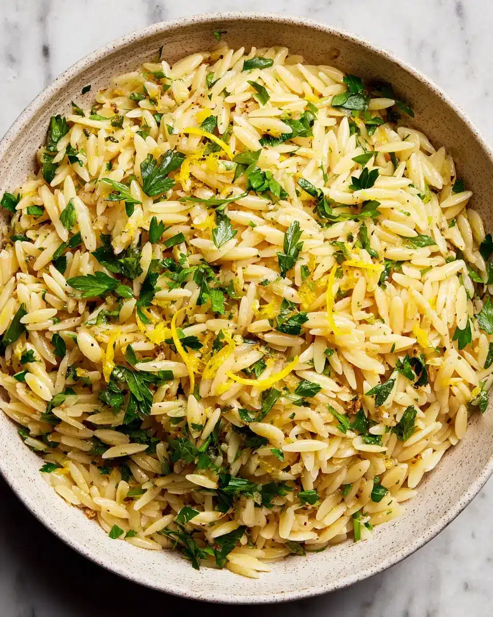 Delicious Garlic Butter Lemon Orzo in a bowl with parsley.