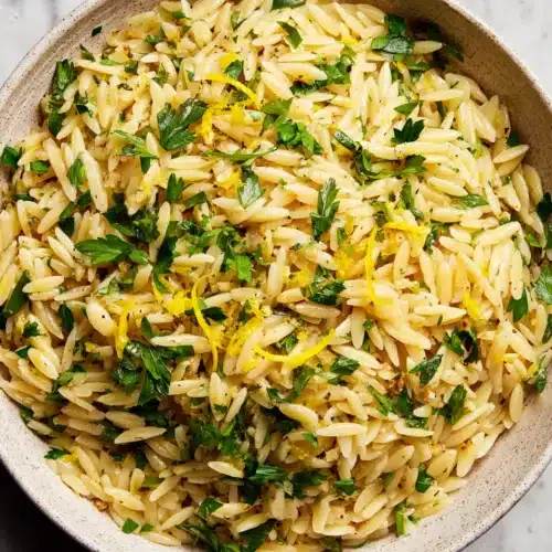 Delicious Garlic Butter Lemon Orzo in a bowl with parsley.