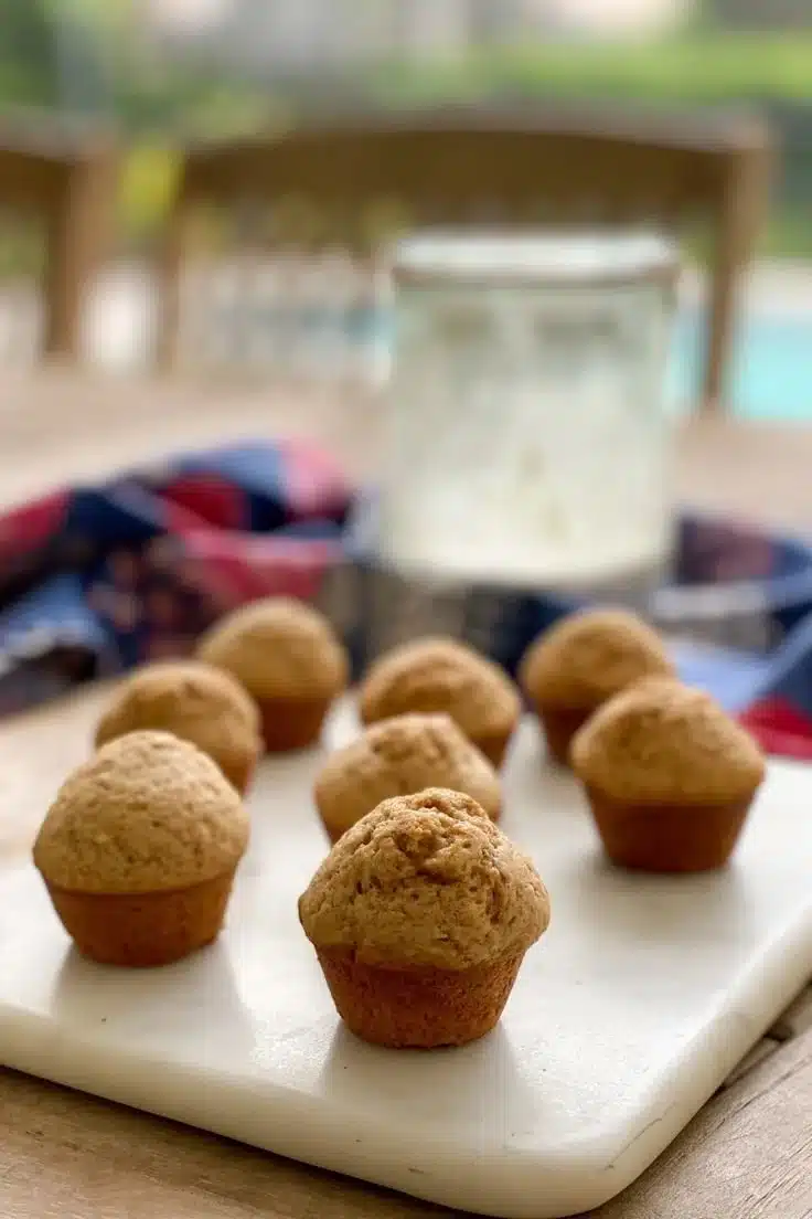 Cinnamon Sourdough Mini Muffins (using sourdough discard!!)
