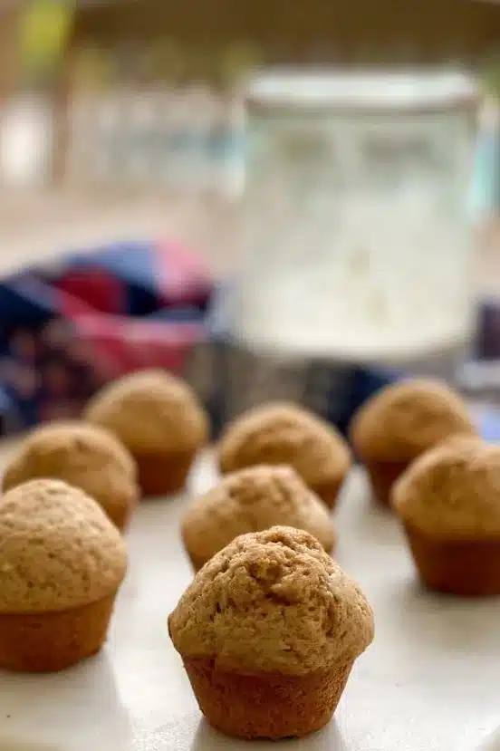 Cinnamon Sourdough Mini Muffins (using sourdough discard!!)