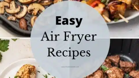 Easy Air Fryer Recipes for Beginners
