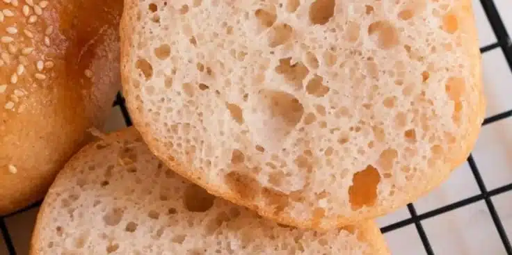 Gluten-Free Sourdough Hamburger Buns