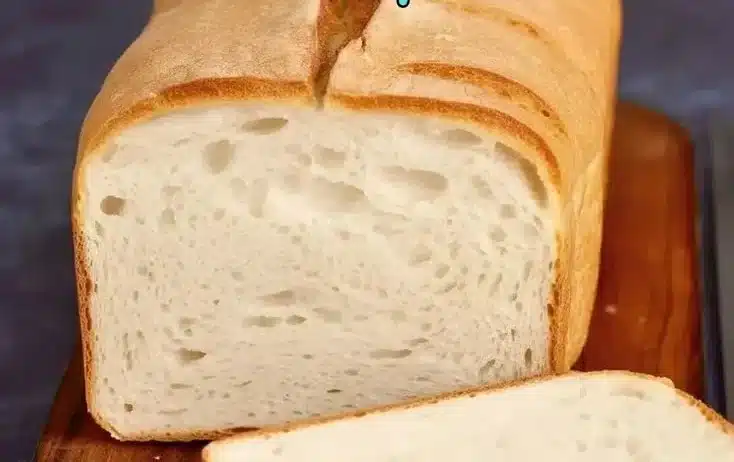 Gluten-Free Sourdough Sandwich Bread