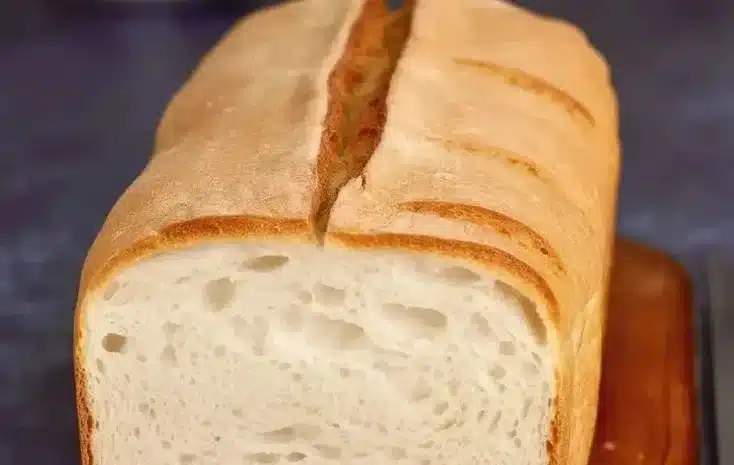 Gluten-Free Sourdough Sandwich Bread