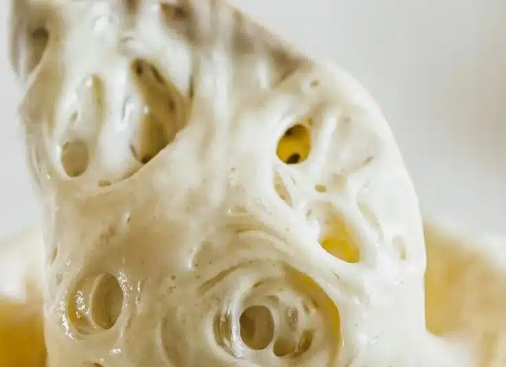 Sourdough Discard Recipe Ideas