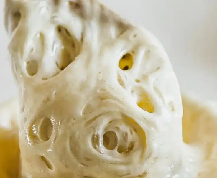 Sourdough Discard Recipe Ideas