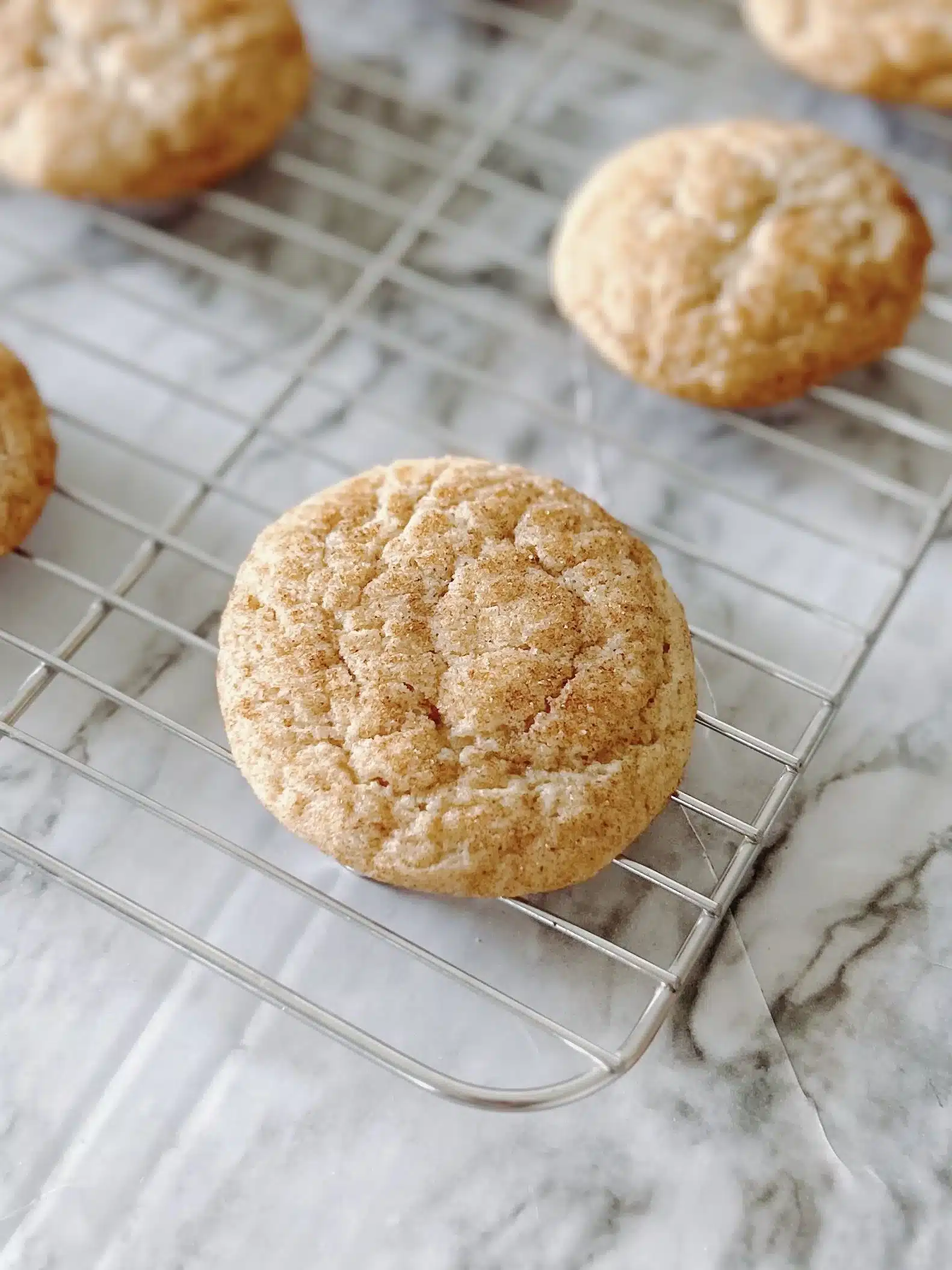 Delicious sourdough snickerdoodles with cinnamon sugar topping